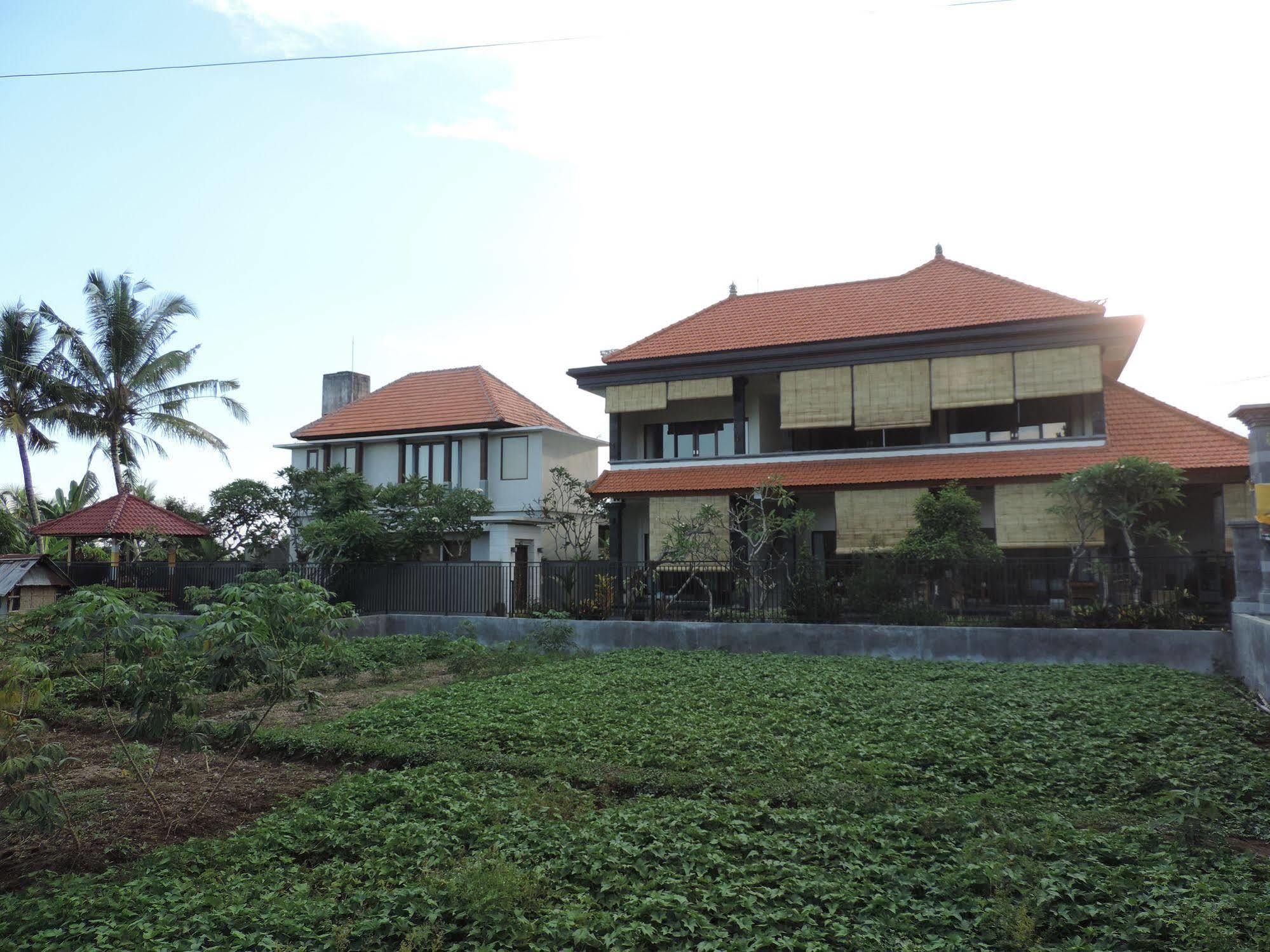 Duana'S Homestay Ubud Exterior foto