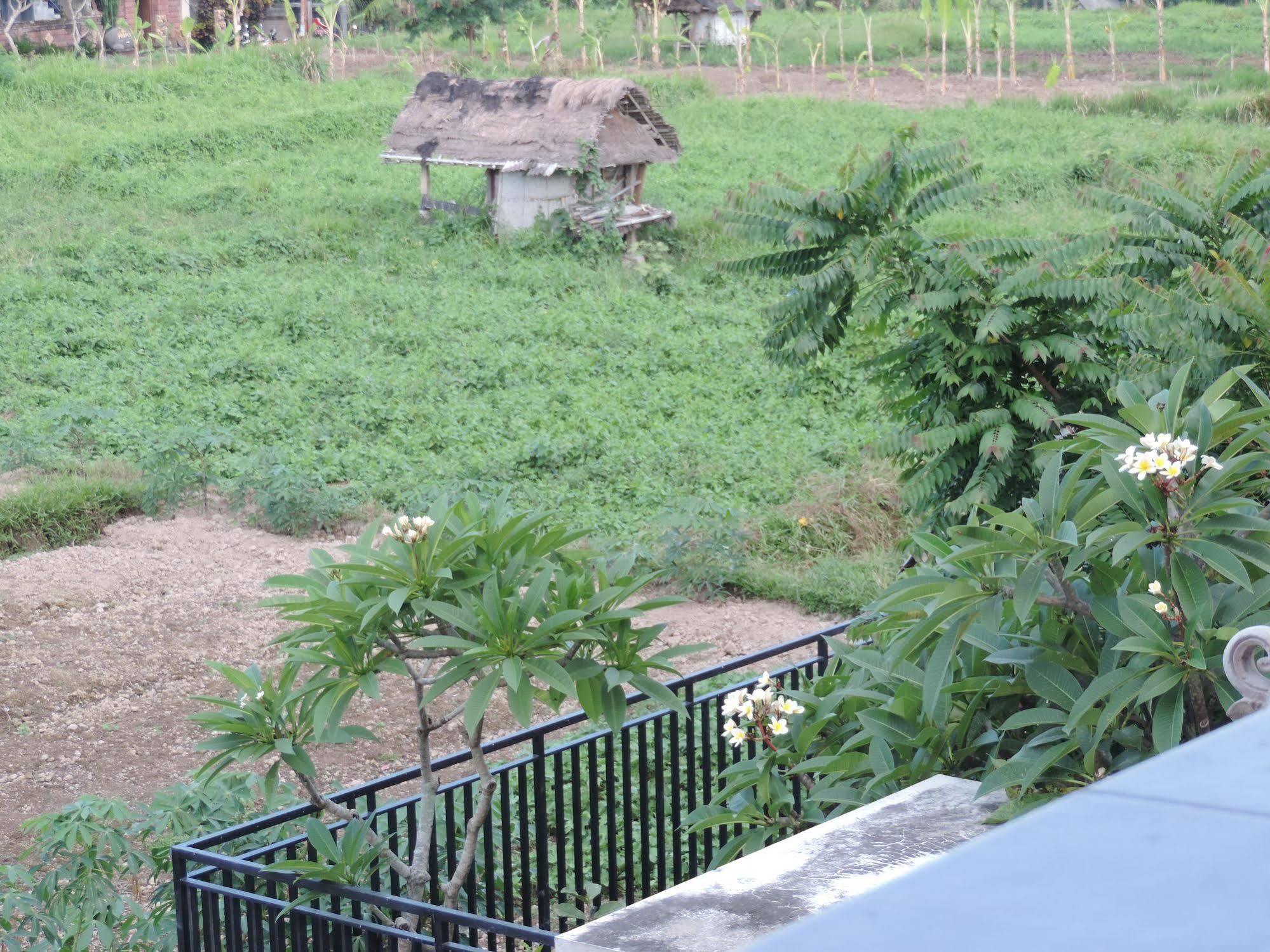 Duana'S Homestay Ubud Exterior foto