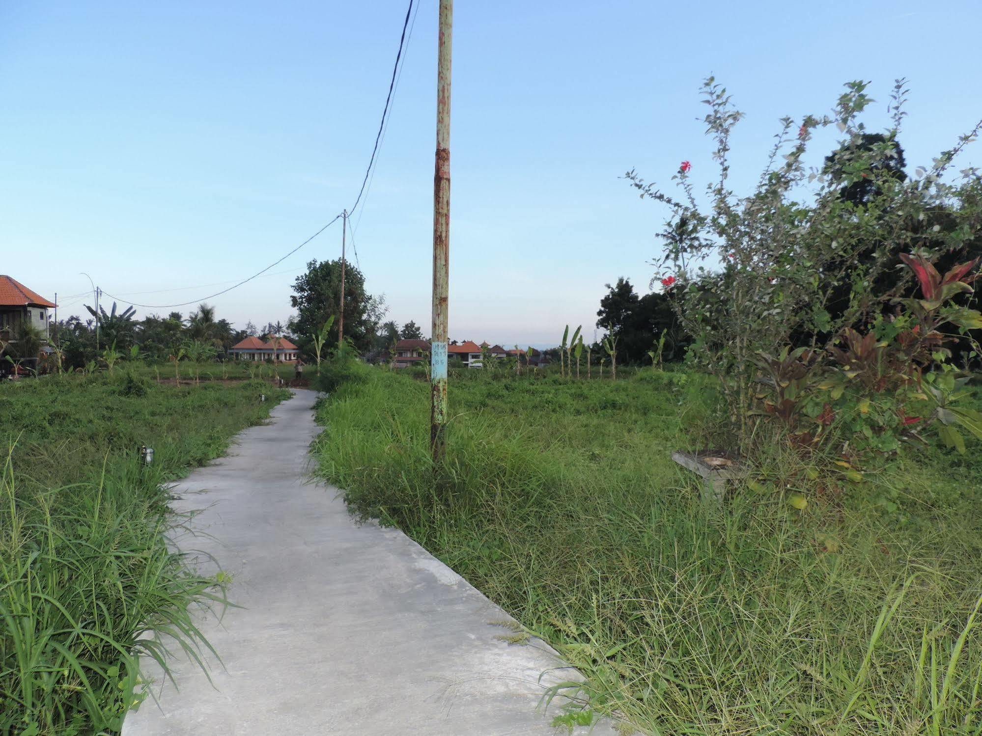 Duana'S Homestay Ubud Exterior foto